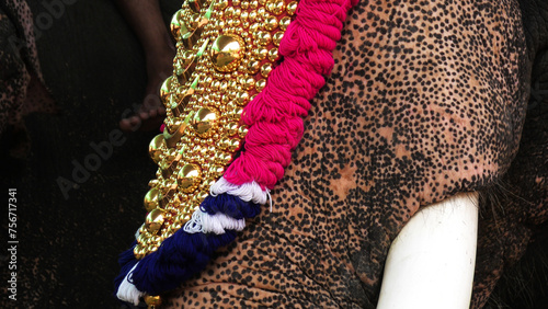 Photography Decoration of elephants participating in temple festivals in Kerala