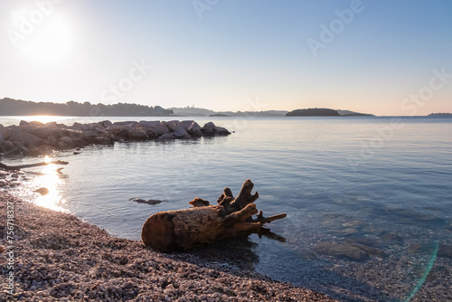 Stranded tree trunk lying on stone beach during sunrise in coastal village Funtana, Istria, Croatia. Distant view of Vrsar and tropical islands. Calm water surface at Adriatic Mediterranean Sea