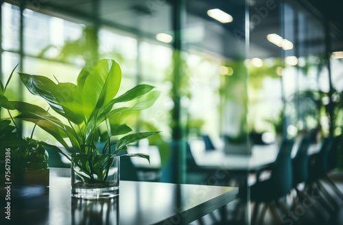 Blurred office interior with glass walls and green plants
