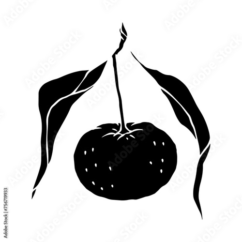 Silhouette, stencil of the citrus fruit tangerine.Vector graphics.