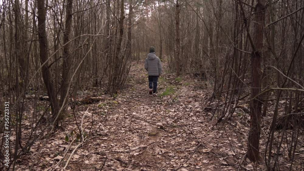 a small boy walks through the forest a small boy walks through the forest