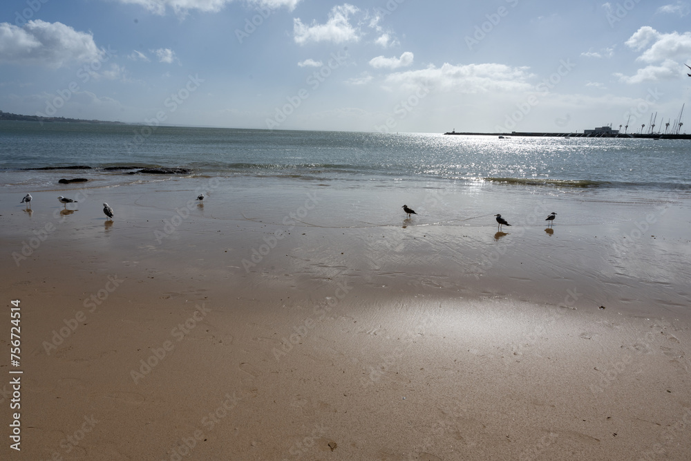 strip of atlantic beaches in lisbon portugal