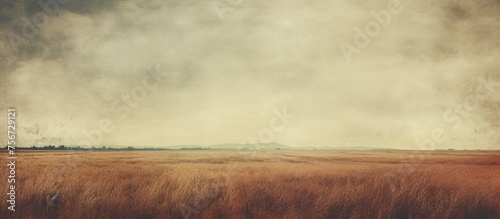 A beautiful natural landscape with a field of tall grass, a cloudy sky in the background, and a serene horizon