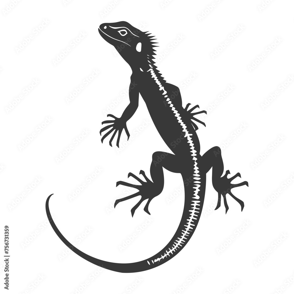 Naklejka premium Silhouette lizard animal black color only full body