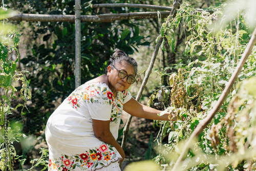Portrait of an elderly woman looking at the camera and holding a tomato on a farm.