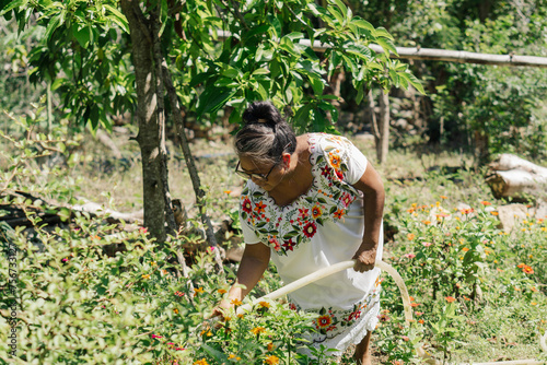 Latina woman working on a farm on a sunny day, watering a field of tomatoes holding a hose.