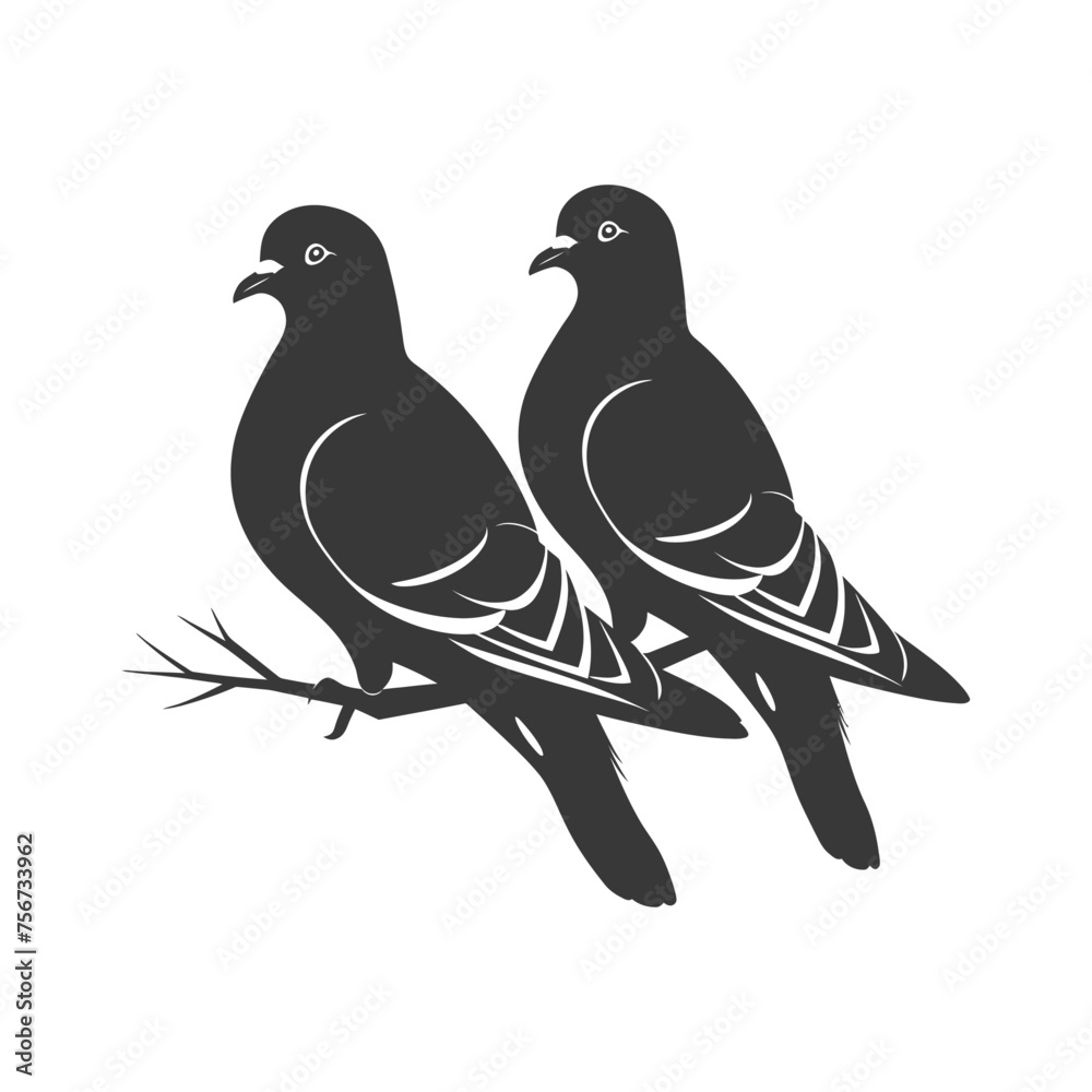 Silhouette pigeon bird animal fly couple pigeon black color only Silhouette pigeon bird animal fly couple pigeon black color only