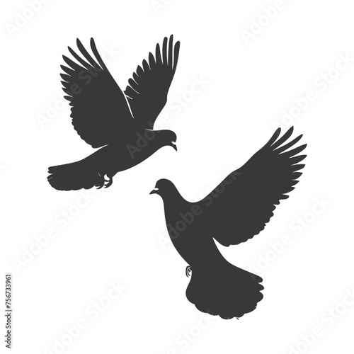 Silhouette pigeon bird animal fly couple pigeon black color only