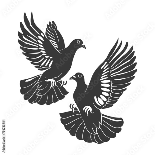 Silhouette pigeon bird animal fly couple pigeon black color only