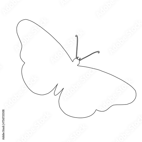 Outline of a winged insect butterfly. Vector graphics.