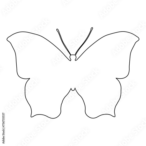 Outline of a winged insect butterfly. Vector graphics.