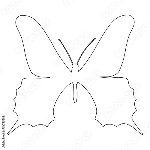 Outline of a winged insect butterfly. Vector graphics.