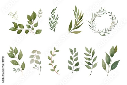 Collection of different types of leaves on a clean white backdrop. Suitable for nature or botany concepts photo