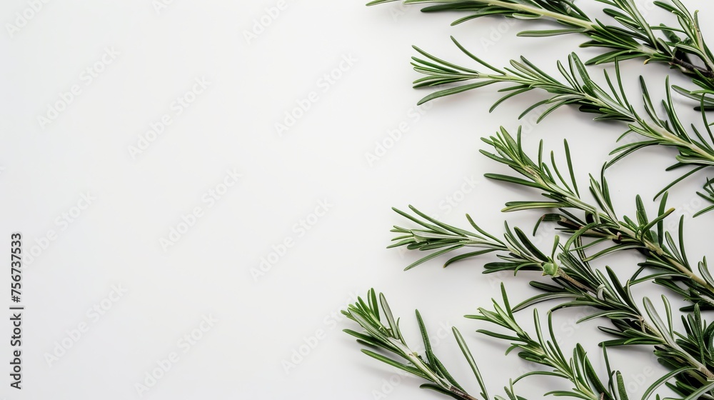 rosemary sprigs. rosemary sprigs.