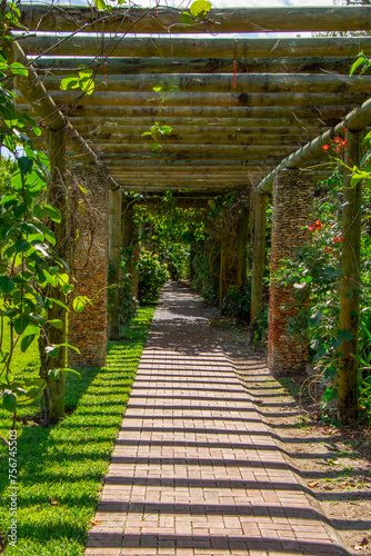 Fototapeta Naklejka Na Ścianę i Meble -  Lush vegetation with path in a pretty tropical garden in Florida, USA