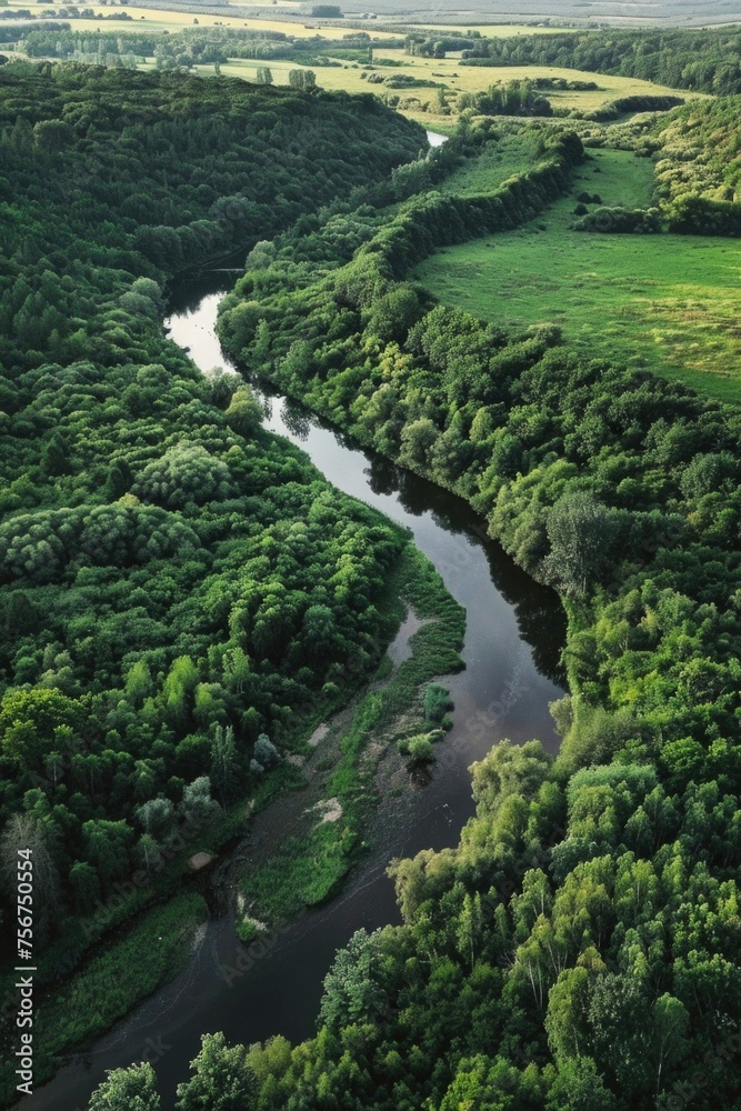Serene river flowing through vibrant green forest, perfect for nature and travel concepts