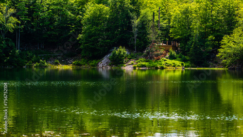 Parc Omega, Canada - July 3 2020: By the lake in Omega Park in Quebec