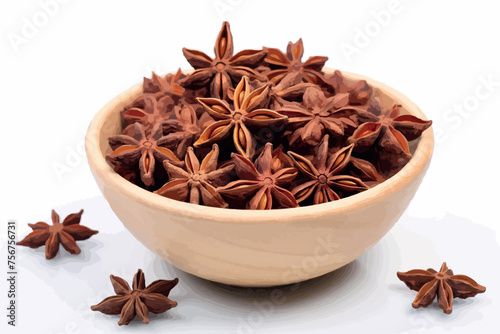 Star anise spice fruits and seeds isolated on white background closeup