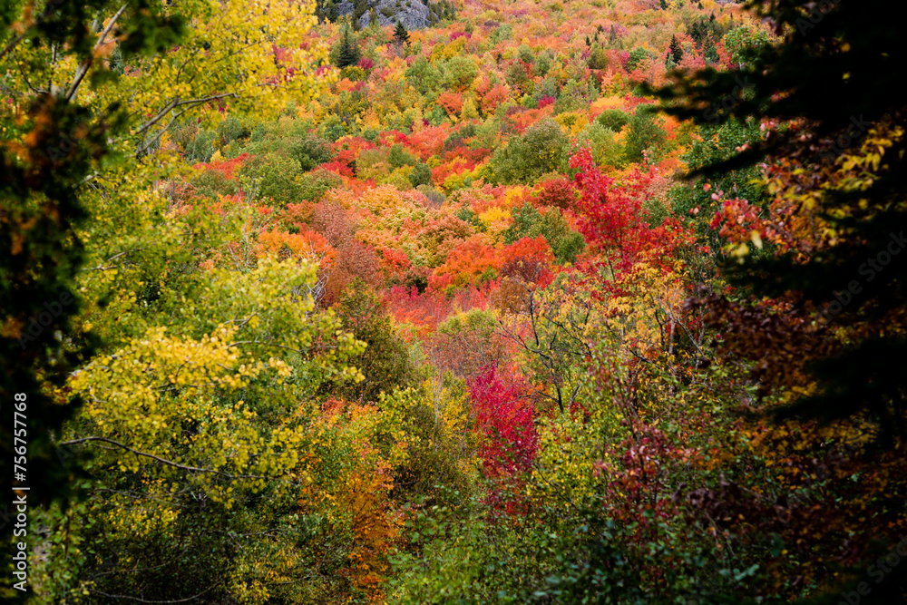Mont Ham, Canada - September 25 2020: Autumn Forest in the Mont Ham in Quebec Canada