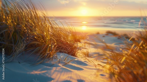 Beautiful sunset over a serene beach and grass  perfect for travel and nature themes