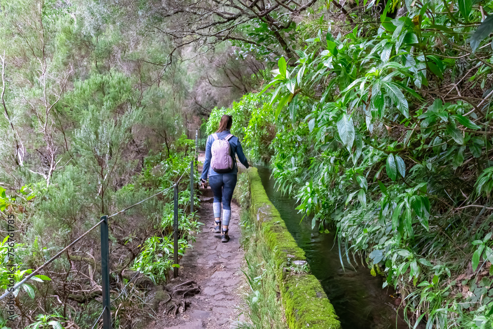 Hiker woman on idyllic Levada walk 25 fountains in evergreen subtropical Laurissilva forest of Rabacal, Madeira island, Portugal, Europe. Water irrigation channel and trail along vibrant laurel trees