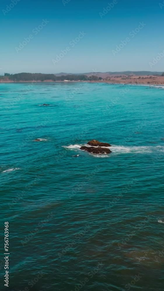 custom made wallpaper toronto digitalWhite foamy waves arriving to the shore of Morro Bay on sunny daytime. Lovely calming view of Pacific shore from aerial view. Vertical video.
