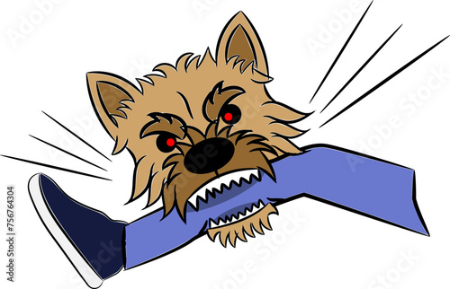 Norwich terrier dog biting human leg illustration sketch isolated on white