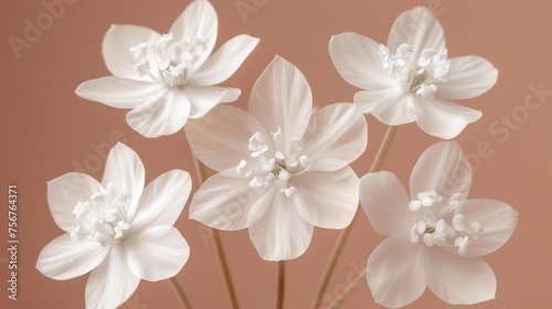 a group of white flowers sitting in a vase on a table with a pink wall in the backround. © Anna