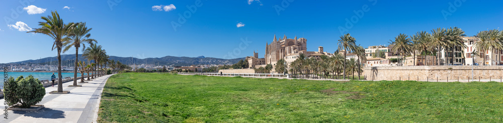 Sunny Seaside Promenade with Palm Trees Leading to Palma de Mallorca Cathedral