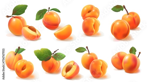 Collection of apricots isolated on white
