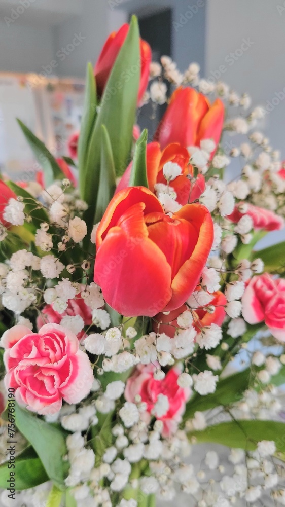 bouquet of red tulips and pink carnations. bouquet of red tulips and pink carnations.