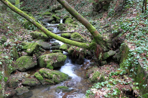 Water cascades in the creek.  Wild forest stream in spring. Motion photography. Tourist region Ostravice in the Czech Republic. Beskydy mountains. Stones in the river. photo