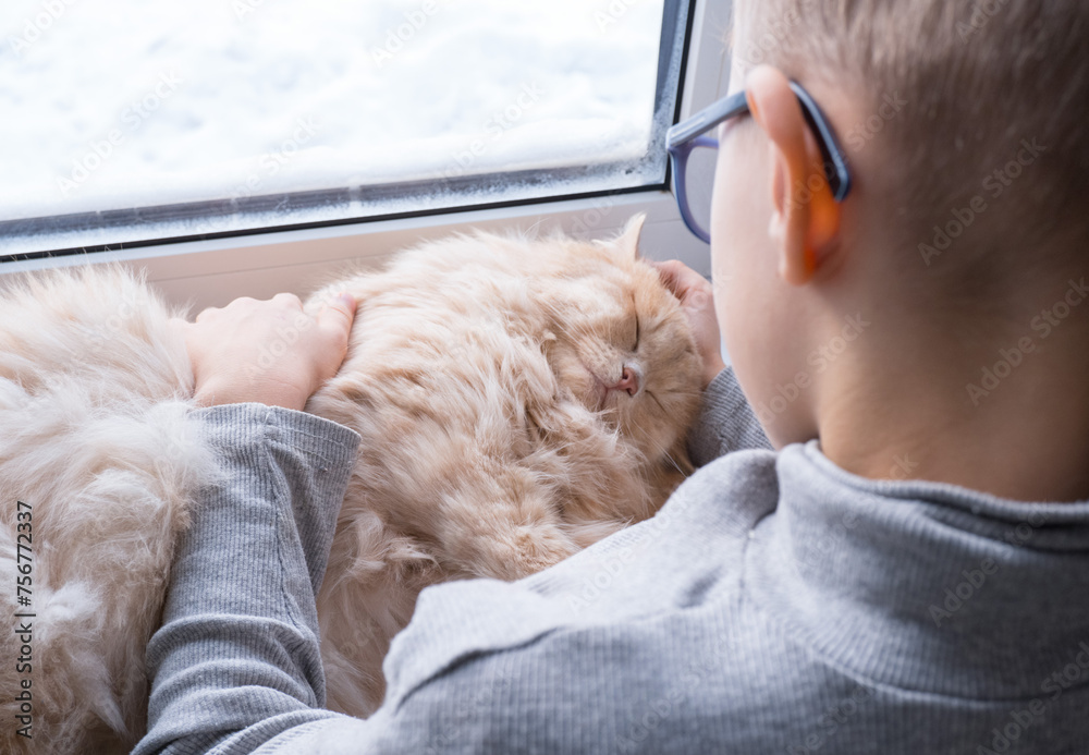 A child, a boy plays with his favorite fluffy red cat by the window. A child strokes a cat. Attachment between children and pets. The funny life of cats at home