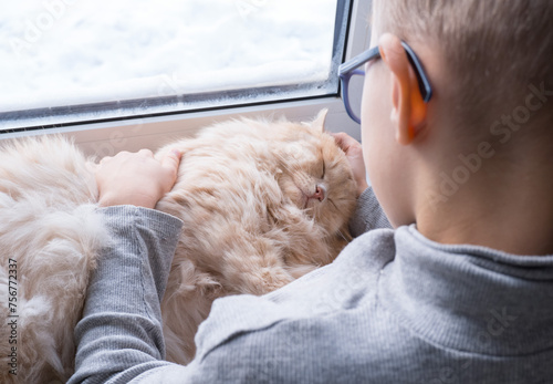 Obraz na płótnie A child, a boy plays with his favorite fluffy red cat by the window. A child strokes a cat. Attachment between children and pets. The funny life of cats at home w salonie