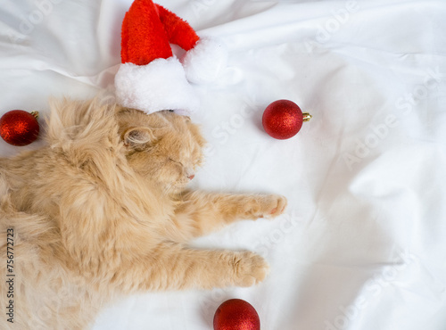 Obraz na płótnie Close-up of a red fluffy cat in a Santa Claus hat sleeps in a white bed with red Christmas balls w salonie