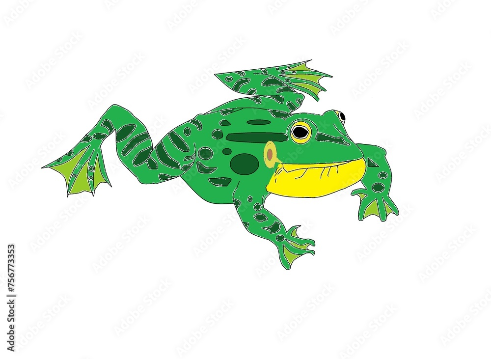 Green lake frog singing in water Green lake frog singing in water