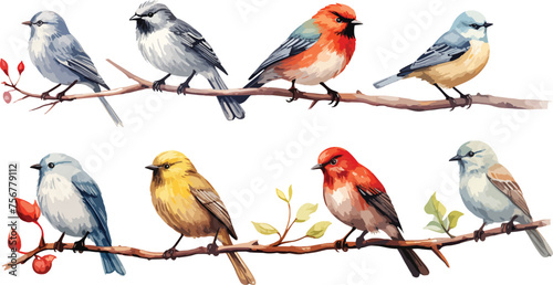 Set of watercolor style colordul birds. Watercolor hand drawn vector illustration isolated on white background