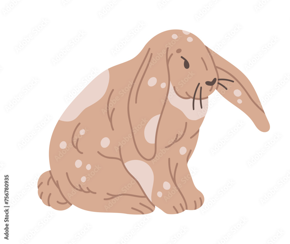 Cute rabbit. Hand drawn spring hare, Easter fluffy little bunny flat vector illustration. Traditional Easter bunny character on white