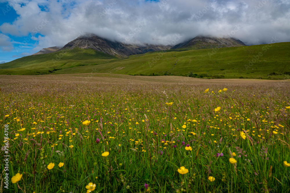 Fototapeta premium Colorful blooming meadow with mountain peaks shrouded in clouds on Isle of Skye