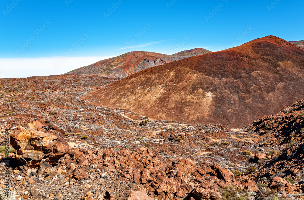 Volcanic landscape, Island Tenerife, Canary Islands, Spain, Europe.