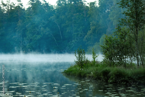 Foggy Lakeside view from a small lake in Sweden. Vedema Strövområde 