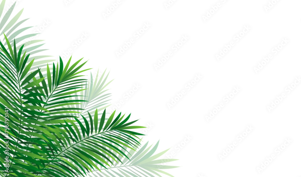 tropical horizontal border frame. Vector illustration with amazon rainforest tropic plants. Coconut palm leaves with shadow isolated on a white background. Summer wallpaper design