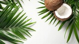 Coconut Palm Leaves on a White Background. Tropical Botanical Concept.