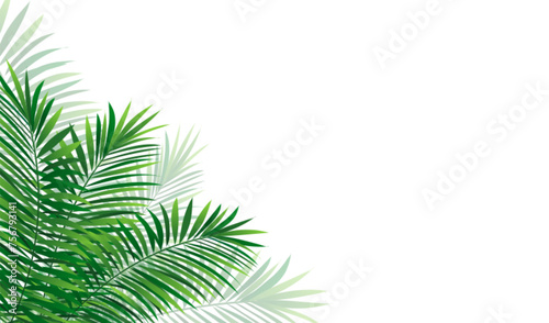 tropical horizontal border frame. Vector illustration with amazon rainforest tropic plants. Coconut palm leaves with shadow isolated on a white background. Summer wallpaper design