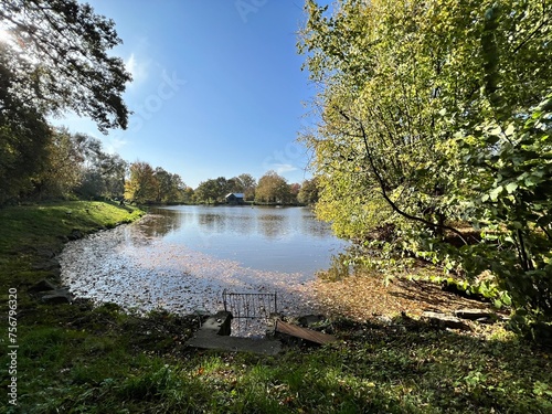 small pond in the autumn park