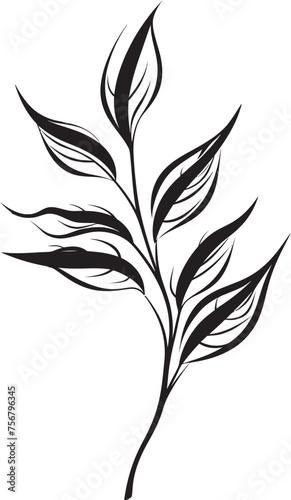 Exotic Oasis: Onekine Tropical Plant Leaves Black Icon Tropical Treasures: Onekine Exotic Plant Leaves Vector Logo © BABBAN