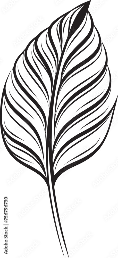 Tropical Serenity: Onekine Exotic Plant Leaves Black Logo Verdant Flora Symphony: Onekine Tropical Leaves Vector Icon Design Tropical Serenity: Onekine Exotic Plant Leaves Black Logo Verdant Flora Symphony: Onekine Tropical Leaves Vector Icon Design