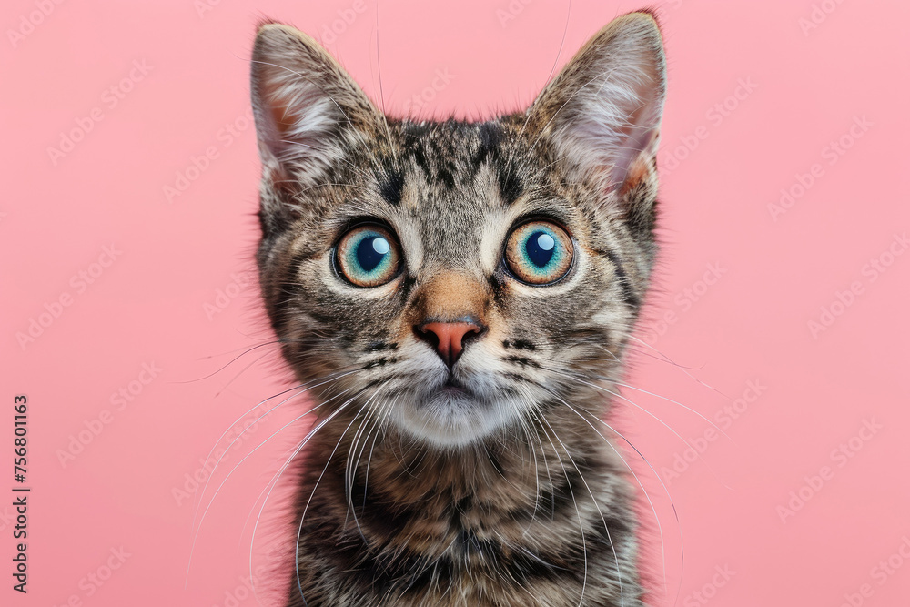 Little cute ginger kitten close up on bright pink background, copy space for text