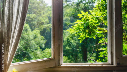 An open window frames a lush green forest  inviting the outside in