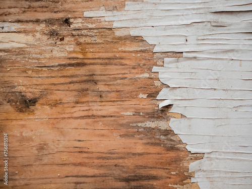 Old wood surface with falling off light color paint. Background for design.